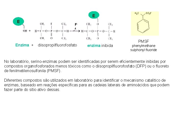 E E Enzima + H 3 C SO 2 F F- diisopropilfluorofosfato enzima inibida