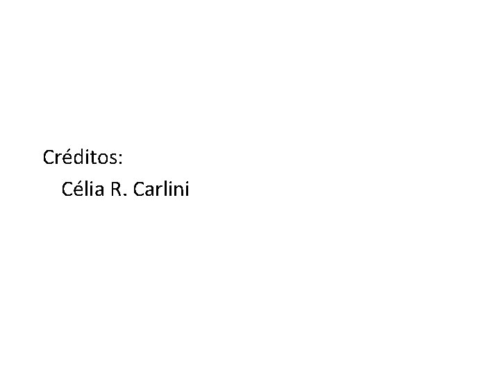 Créditos: Célia R. Carlini 