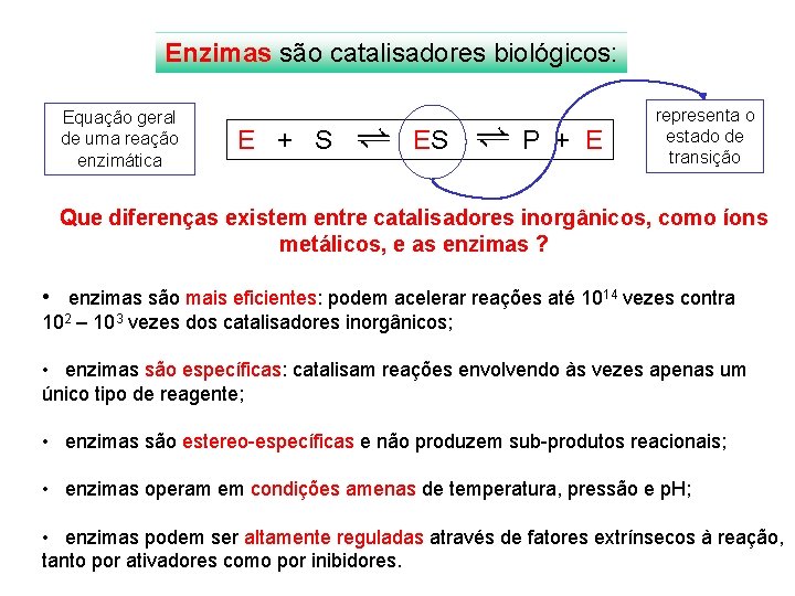 Enzimas são catalisadores biológicos: Equação geral de uma reação enzimática E + S ES