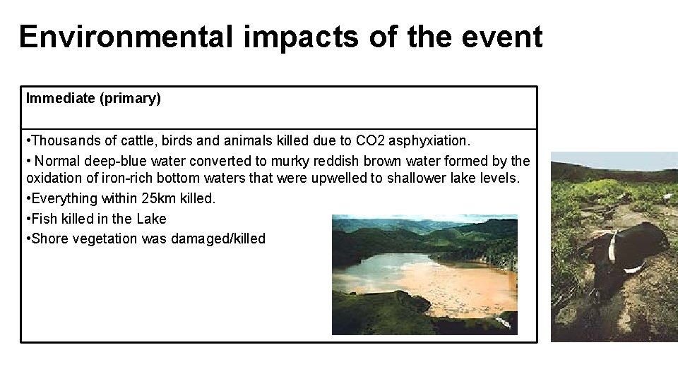 Environmental impacts of the event Immediate (primary) • Thousands of cattle, birds and animals