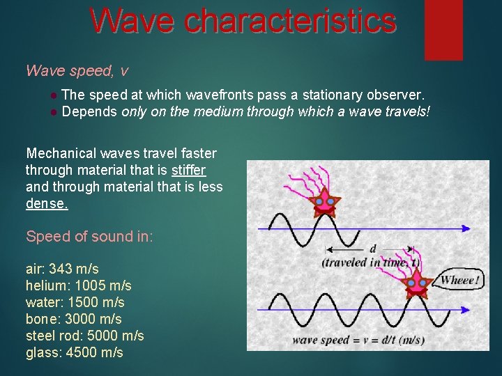 Wave characteristics Wave speed, v ● The speed at which wavefronts pass a stationary