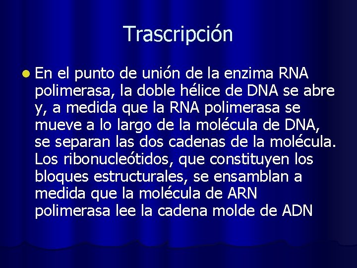 Trascripción l En el punto de unión de la enzima RNA polimerasa, la doble