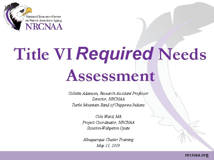 Title VI Required Needs Assessment Collette Adamsen, Research Assistant Professor Director, NRCNAA Turtle Mountain Title VI Required Needs Assessment Collette Adamsen, Research Assistant Professor Director, NRCNAA Turtle Mountain