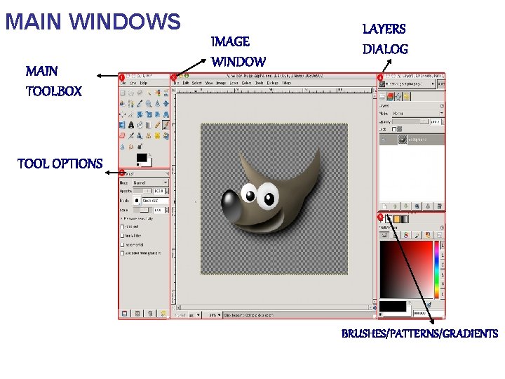 MAIN WINDOWS MAIN TOOLBOX IMAGE WINDOW LAYERS DIALOG TOOL OPTIONS BRUSHES/PATTERNS/GRADIENTS 