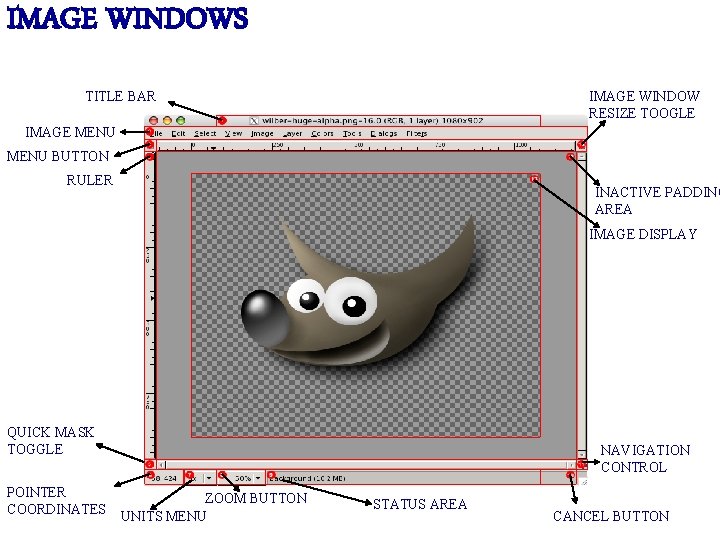 IMAGE WINDOWS TITLE BAR IMAGE WINDOW RESIZE TOOGLE IMAGE MENU BUTTON RULER INACTIVE PADDING