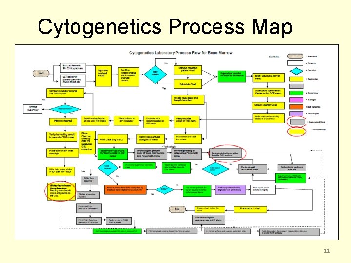 Cytogenetics Process Map 11 