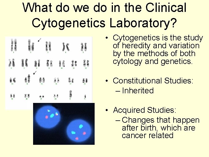 What do we do in the Clinical Cytogenetics Laboratory? • Cytogenetics is the study