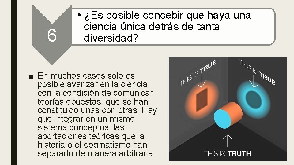 6 • ¿Es posible concebir que haya una ciencia única detrás de tanta diversidad?