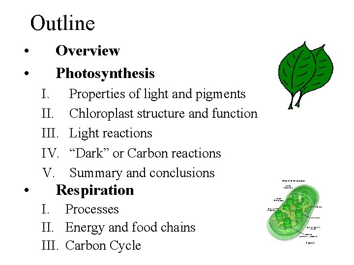 Outline • • Overview Photosynthesis I. III. IV. V. • Properties of light and