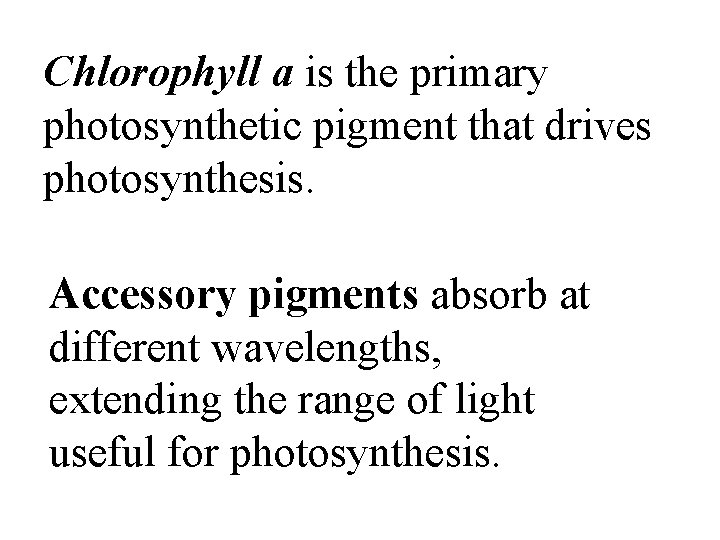 Chlorophyll a is the primary photosynthetic pigment that drives photosynthesis. Accessory pigments absorb at