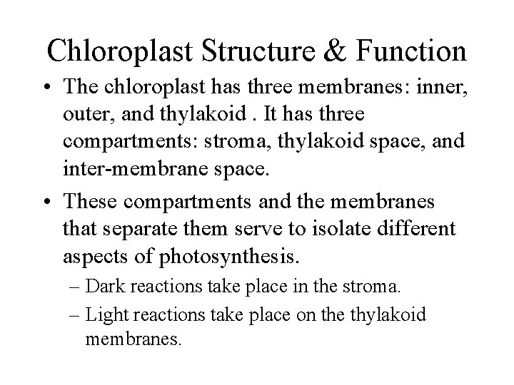 Chloroplast Structure & Function • The chloroplast has three membranes: inner, outer, and thylakoid.