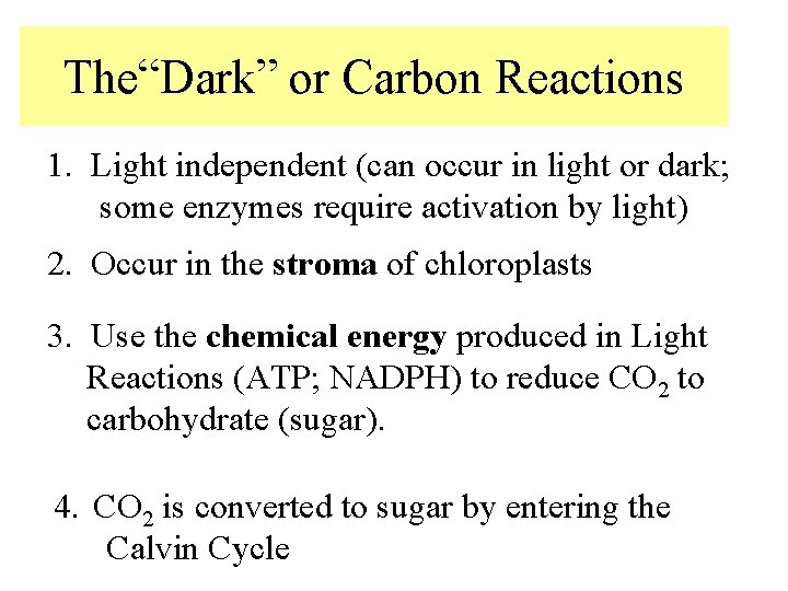 The“Dark” or Carbon Reactions 1. Light independent (can occur in light or dark; some