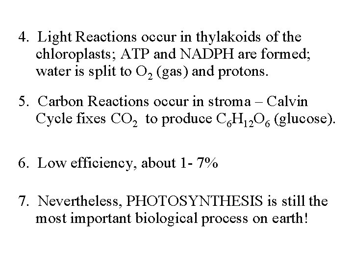 4. Light Reactions occur in thylakoids of the chloroplasts; ATP and NADPH are formed;