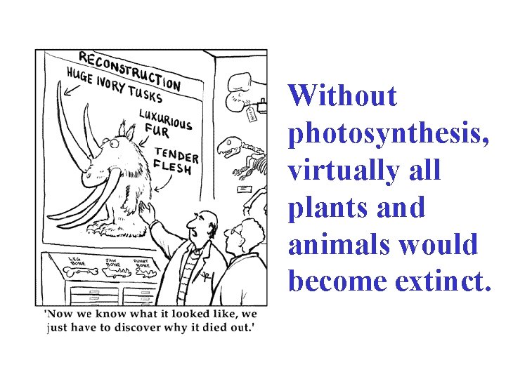 Without photosynthesis, virtually all plants and animals would become extinct. 