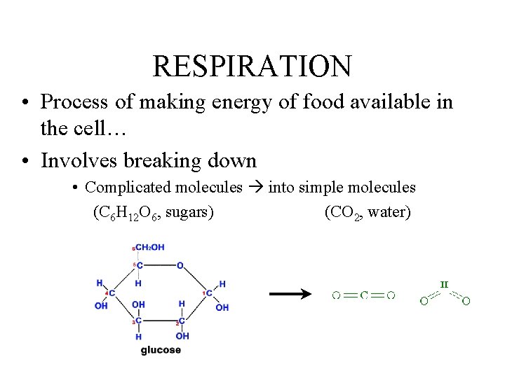 RESPIRATION • Process of making energy of food available in the cell… • Involves