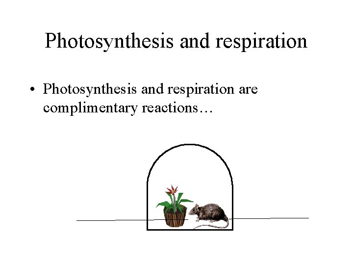 Photosynthesis and respiration • Photosynthesis and respiration are complimentary reactions… 