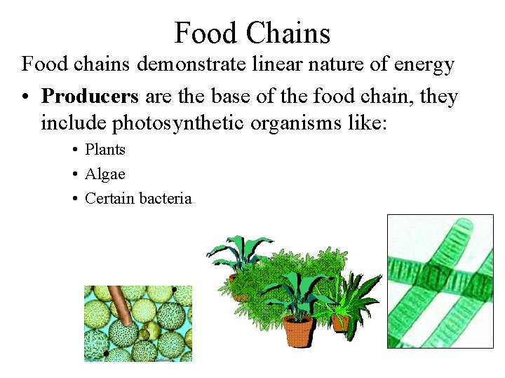 Food Chains Food chains demonstrate linear nature of energy • Producers are the base