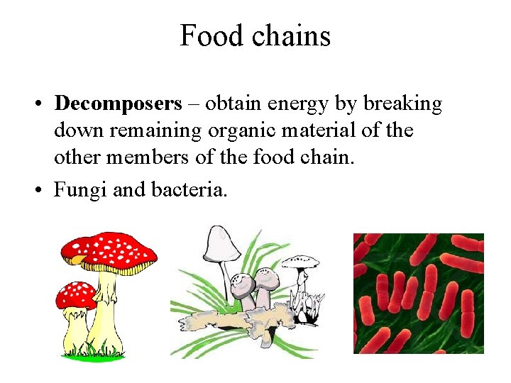 Food chains • Decomposers – obtain energy by breaking down remaining organic material of