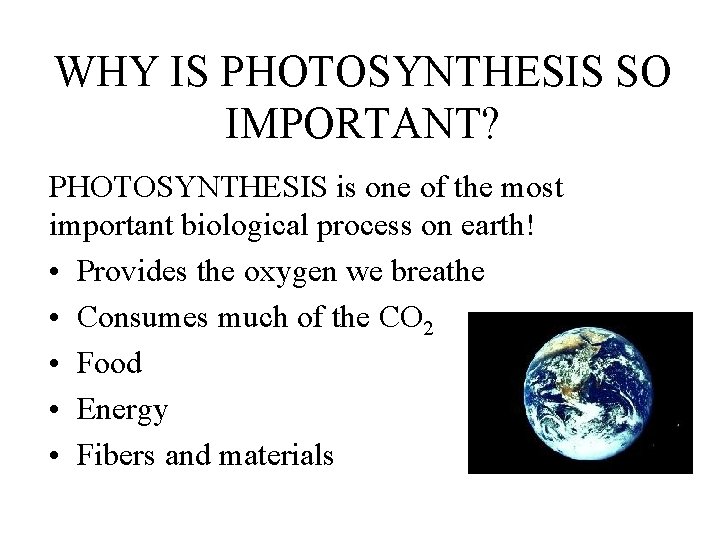 WHY IS PHOTOSYNTHESIS SO IMPORTANT? PHOTOSYNTHESIS is one of the most important biological process