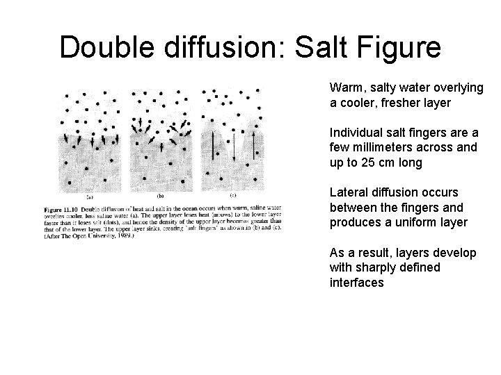 Double diffusion: Salt Figure Warm, salty water overlying a cooler, fresher layer Individual salt
