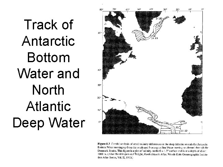 Track of Antarctic Bottom Water and North Atlantic Deep Water 