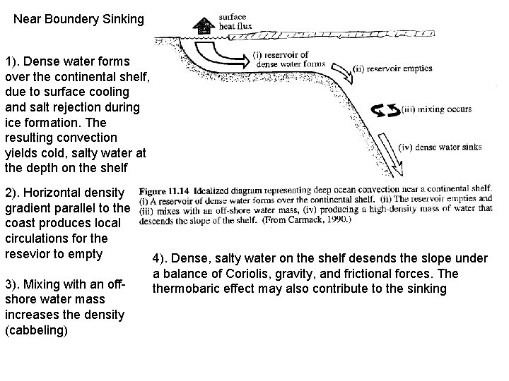 Near Boundery Sinking 1). Dense water forms over the continental shelf, due to surface