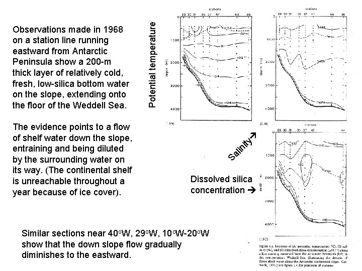  ity lin Sa The evidence points to a flow of shelf water down