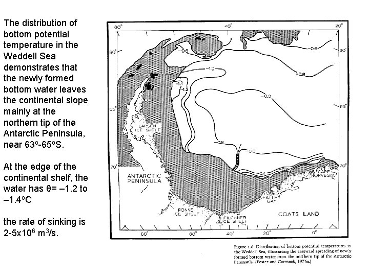 The distribution of bottom potential temperature in the Weddell Sea demonstrates that the newly