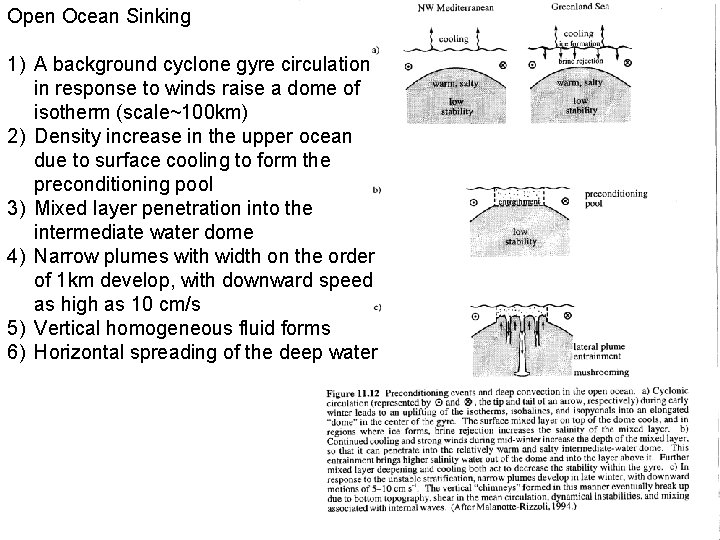 Open Ocean Sinking 1) A background cyclone gyre circulation in response to winds raise