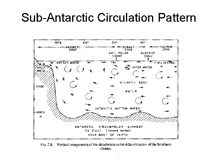 Sub-Antarctic Circulation Pattern 
