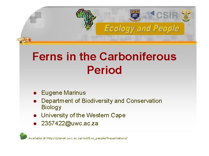 Ferns in the Carboniferous Period l l Eugene Marinus Department of Biodiversity and Conservation