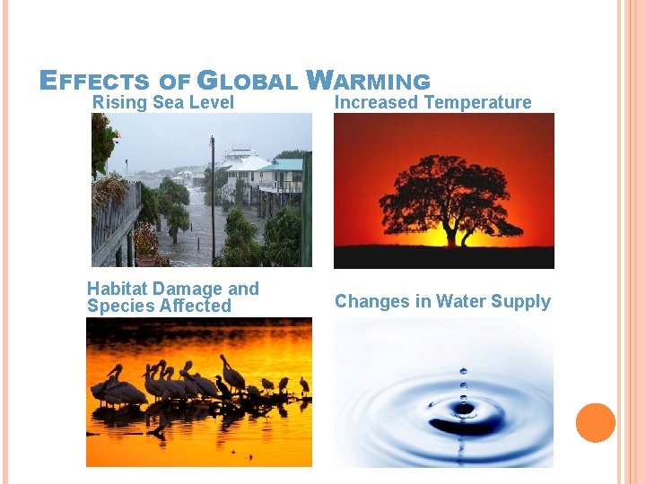 EFFECTS OF GLOBAL Rising Sea Level Habitat Damage and Species Affected WARMING Increased Temperature