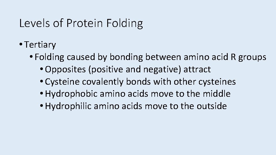 Levels of Protein Folding • Tertiary • Folding caused by bonding between amino acid