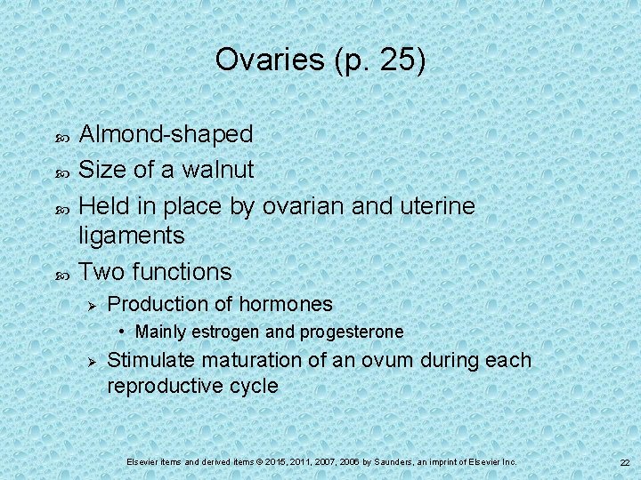 Ovaries (p. 25) Almond-shaped Size of a walnut Held in place by ovarian and