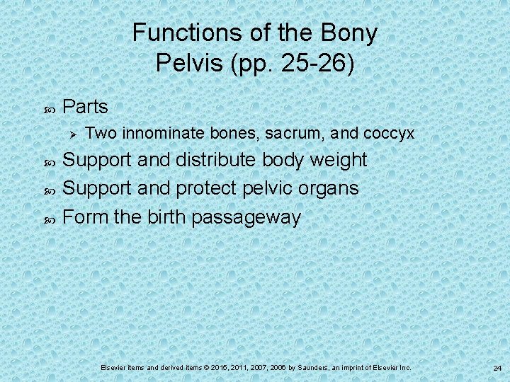 Functions of the Bony Pelvis (pp. 25 -26) Parts Ø Two innominate bones, sacrum,