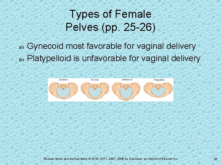 Types of Female Pelves (pp. 25 -26) Gynecoid most favorable for vaginal delivery Platypelloid