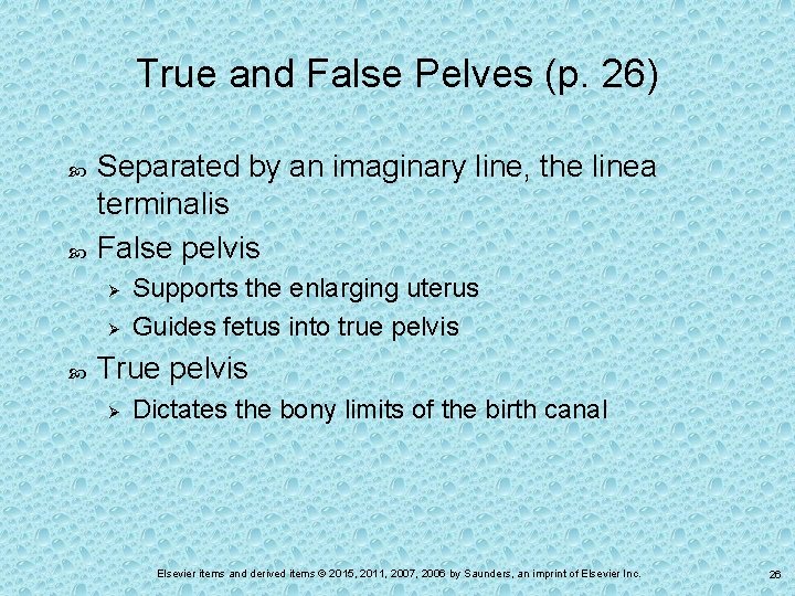 True and False Pelves (p. 26) Separated by an imaginary line, the linea terminalis