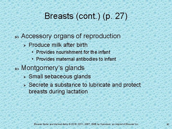 Breasts (cont. ) (p. 27) Accessory organs of reproduction Ø Produce milk after birth