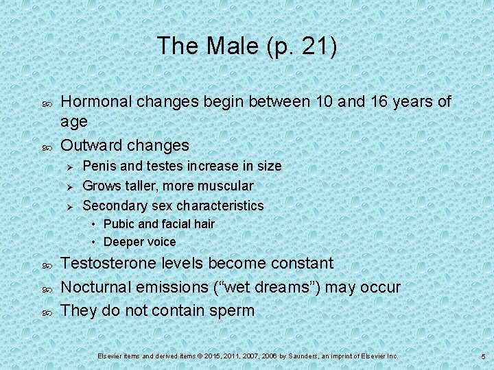 The Male (p. 21) Hormonal changes begin between 10 and 16 years of age