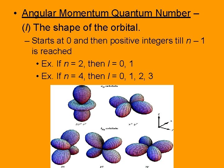  • Angular Momentum Quantum Number – (l) The shape of the orbital. –