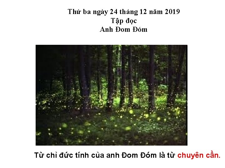 Thứ ba ngày 24 tháng 12 năm 2019 Tập đọc Anh Đom Đóm Từ Thứ ba ngày 24 tháng 12 năm 2019 Tập đọc Anh Đom Đóm Từ