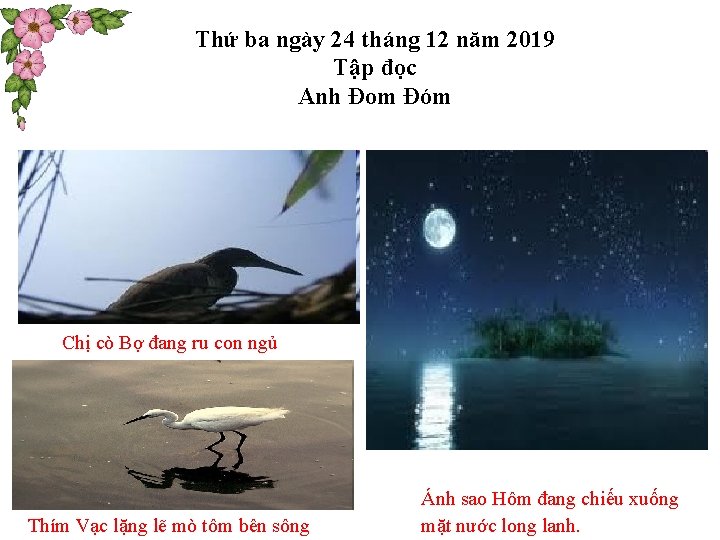 Thứ ba ngày 24 tháng 12 năm 2019 Tập đọc Anh Đom Đóm Chị Thứ ba ngày 24 tháng 12 năm 2019 Tập đọc Anh Đom Đóm Chị