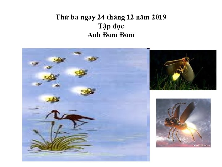 Thứ ba ngày 24 tháng 12 năm 2019 Tập đọc Anh Đom Đóm Thứ ba ngày 24 tháng 12 năm 2019 Tập đọc Anh Đom Đóm