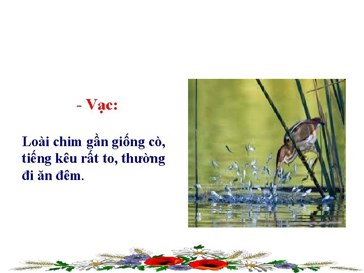 - Vạc: Loài chim gần giống cò, tiếng kêu rất to, thường đi ăn - Vạc: Loài chim gần giống cò, tiếng kêu rất to, thường đi ăn