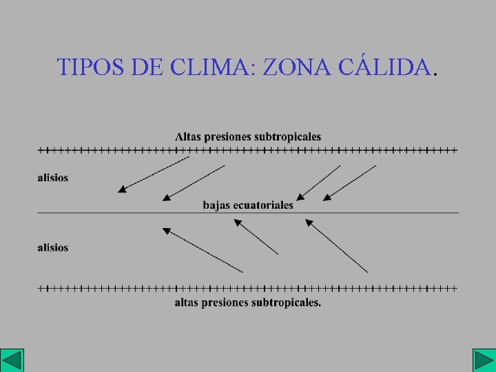 TIPOS DE CLIMA: ZONA CÁLIDA. 