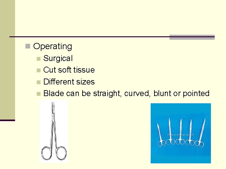 n Operating n Surgical n Cut soft tissue n Different sizes n Blade can