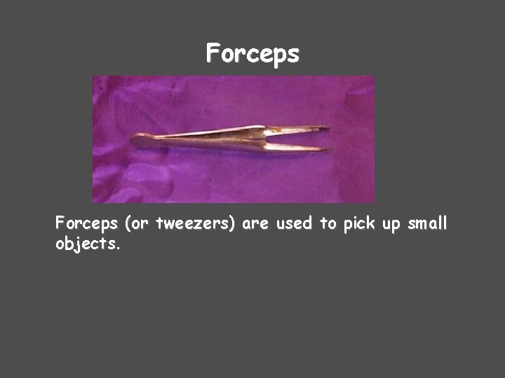 Forceps (or tweezers) are used to pick up small objects. 