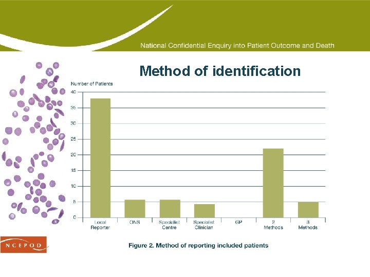 Method of identification 