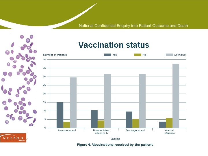 Vaccination status 