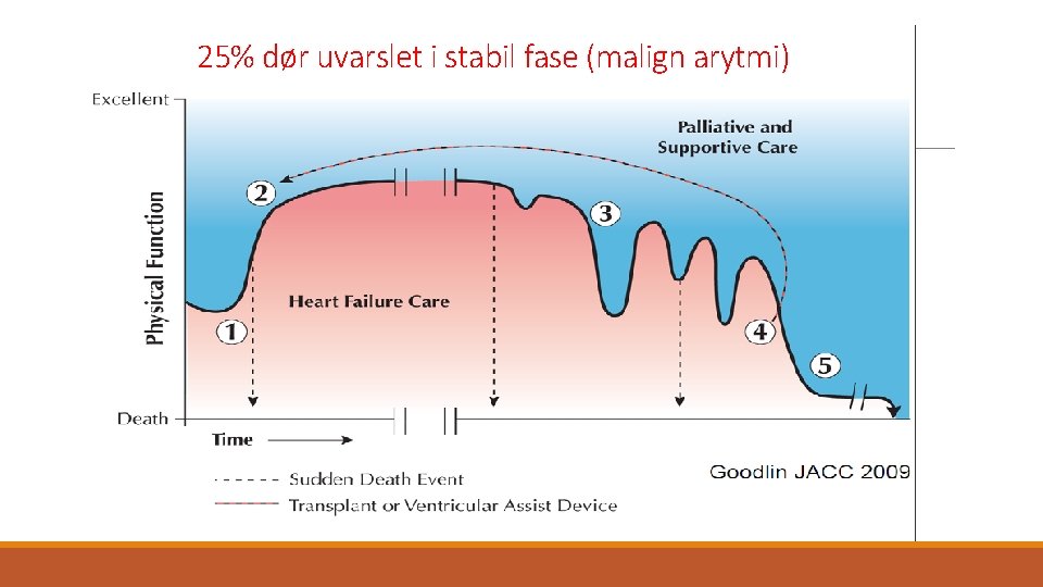 25% dør uvarslet i stabil fase (malign arytmi) 